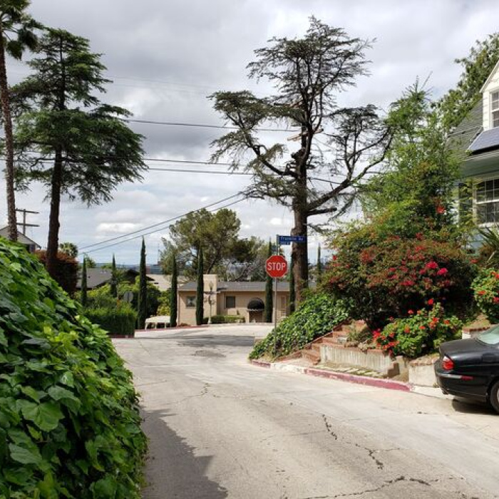 3943 Franklin Ave, Los Angeles, California 90027, 2 Bedrooms Bedrooms, ,2 BathroomsBathrooms,Single Family Residence,Sold,Franklin ,1019